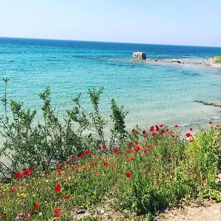 Apartment Avra Comfort - Family Nea Poteidaia